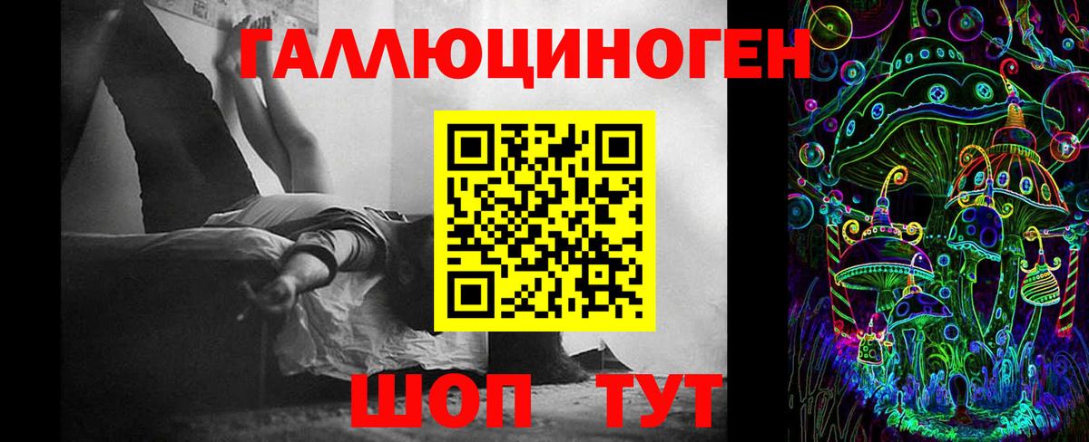 Галлюциногенные грибы ЛСД Губкинский