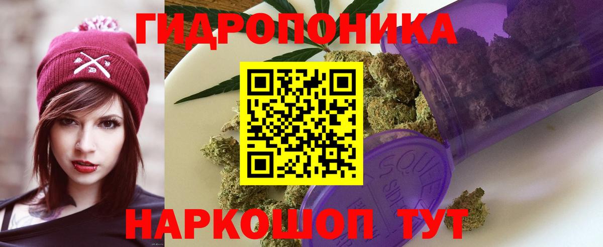 Бошки Шишки сатива Губкинский